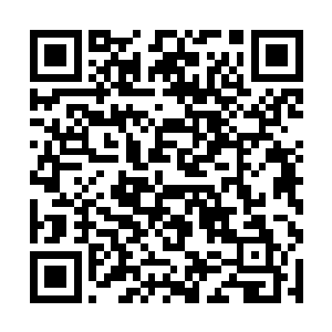 看你的趋势我怎么就得要照顾你两叔侄一生的感觉啊二维码生成