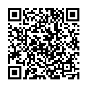 看到了不知什么时候已经坐在沙发上的经纪人郑默二维码生成