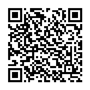 看到宗东城满脸不屑的表情还是硬着头皮上去恭维二维码生成