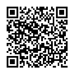 看到带他来到这里的季灵正满脸惊恐的想要逃窜二维码生成