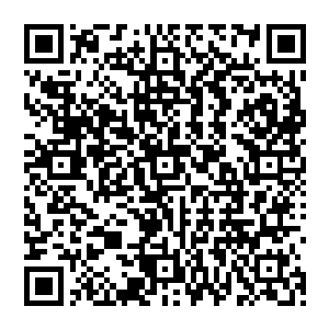 看到带头闹事的人是将军行犹豫着是否现在就上前阻止还是等到他们真正开打的时候再上去劝架二维码生成