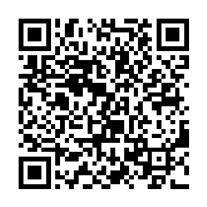 看到林梦君马上又要早一次的用妖气直接逼出那剧毒二维码生成