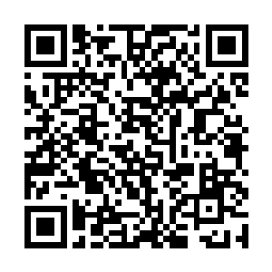 看到的却是打着手电筒的罗文安满脸憨笑地站在那里二维码生成