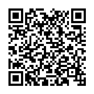 看到站在他们面前的这位大人物之后各个面如土色二维码生成