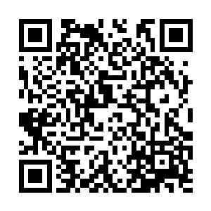 看到蔚蓝星的那个任务后面清晰两个红字标签已接二维码生成