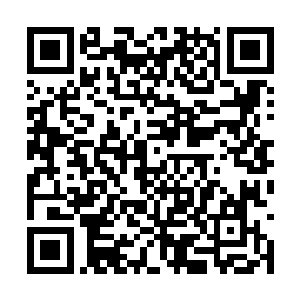 看到这种情景之后顿时也都知道了发生了什么事情二维码生成