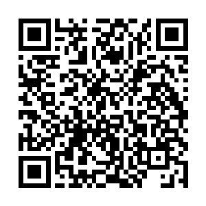 看到邢琳有恃无恐直到现在还没有一点儿紧张的眼神二维码生成