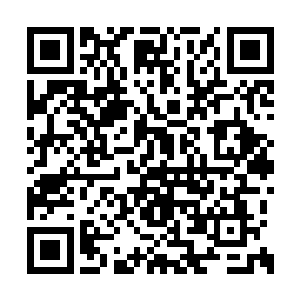 看到那四溅的鲜血和那些人脸上的惊恐绝望之色二维码生成