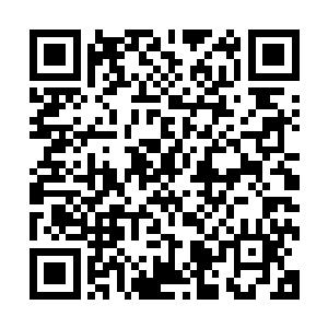 看到门口有几个脖子上挂着相机的男女满脸兴奋的往这边跑来二维码生成