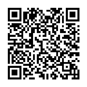 看到青云县的各位领导是真的想将神仙山的旅游搞起来二维码生成