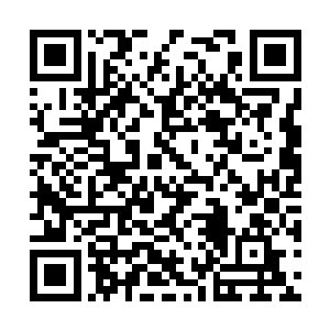 看向那张明明熟悉却偶尔又会觉得陌生的坚毅脸庞二维码生成