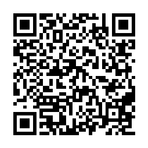 看得出零魂战队是完全判断出了沙罗曼蛇的战术二维码生成