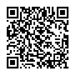 看来一时半会自己是不可能再把白鹿收归旗下了二维码生成