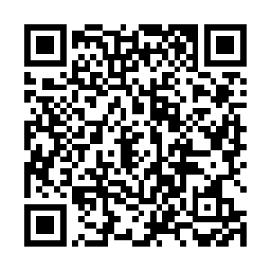 看来不是每个人都有挣脱自己命运束缚的能力和资格的二维码生成