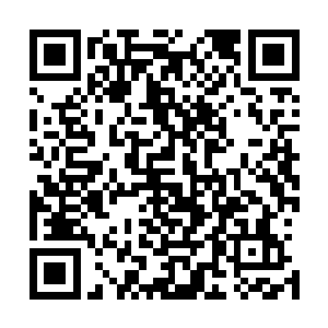 看来传说果然不假龙族对于那些发光的财富都是异常的热衷二维码生成