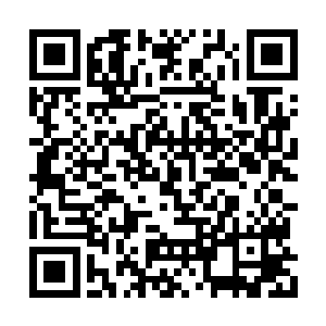 看来原主之前已经过了很久像这样挨饿的生活了二维码生成