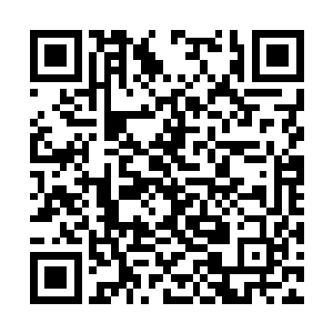 看来师公也是知道我身旁不仅仅一个唐晓柔这事了二维码生成