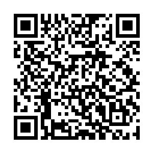 看来得进城杀这俩了……城内周宅有什么规格的防护二维码生成