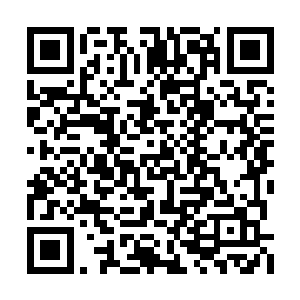 看来想要对付眼前的这道分身她也力不从心起来二维码生成