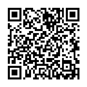 看来我手里的这四个东西可能就是他们的那种力量啊二维码生成
