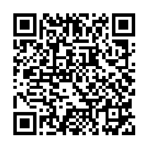 看来江石集团是没有希望承包这个污水处理厂了二维码生成