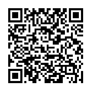 看来洪大力已经通过动物星人成功的征服了地球啊……二维码生成