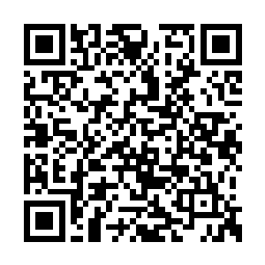 看来祭司大人真的需要本宫好好提醒一遍了……二维码生成