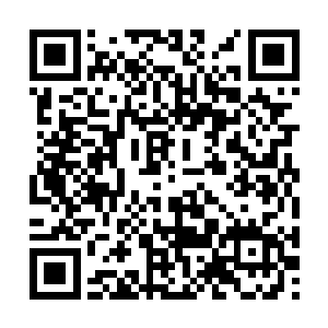 看来自己要这些东西的目的姬圣杰早就一清二楚了二维码生成