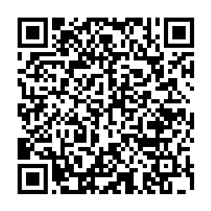 看来那家伙之所以能够实力变强完全都是因为那枚火红色小珠子的威力吧二维码生成