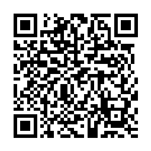 看样子张涛道友和张潇晗道友联手也不是那妖修和巨龟的对手二维码生成