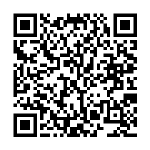 看样子我还真的要叫师叔和长生以及王婉柔他们过来帮忙了二维码生成