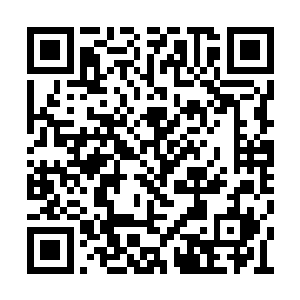 看看自己脚上的鞋袜和妈妈特意为他准备的礼服二维码生成