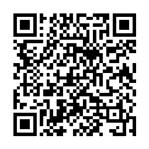 看着一家又一家珠宝公司的设计大作由模特儿一一展出二维码生成