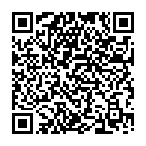 看着僵尸那眼眶里几乎全部是乌黑色还有他青紫的脸色以及嘴巴处的獠牙和血迹二维码生成