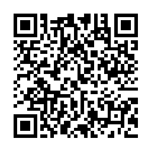 看着刘姐与克里斯手里的资料与证件看起来是刚从场馆回来二维码生成