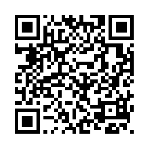 看着夜幕中的星星和海面上的月光二维码生成