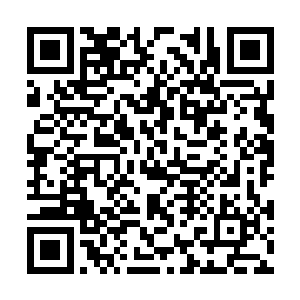 看着娜丽丝一个人面对面具男子还占了便宜了便宜二维码生成