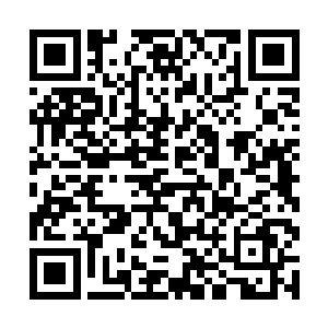 看着孟宪的眼神就像是饿了十天之后看着食物的眼神二维码生成