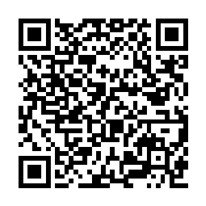 看着密密麻麻的人也是感觉头皮有那么一些发麻二维码生成