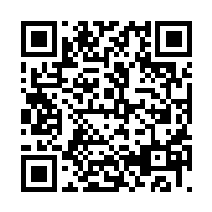 看着指向性抽奖所带来的那特殊轮盘二维码生成