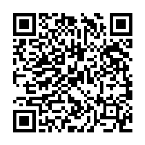 看着王宝柱跟王轲一块给姚满屯和王玉花几个拜年二维码生成