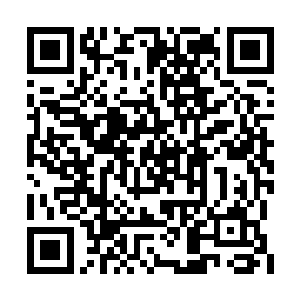 看着那个背对着自己僵直到好像变成化石的身影二维码生成