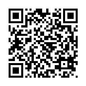 看着那些由机关术建造而成的房子二维码生成