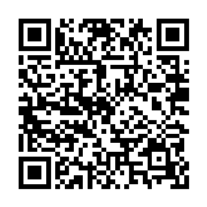 看着院子里简易的木床上躺着的神色各异的伤员二维码生成