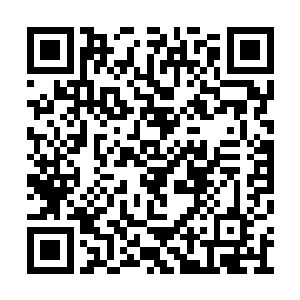 看见了早已经清醒却盯着她看的独孤夜眨了眨眼二维码生成