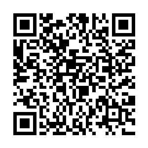 看见地上躺着一堆抱着断胳膊断腿哀嚎的人脸色一变二维码生成