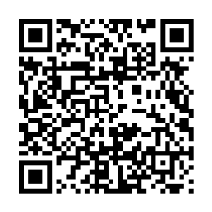 看起来不像是会有什么稀奇古怪的事情发生的样子二维码生成