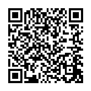 看那枚骨头的外形竟然和他当初第一次见到的骨承外形差不多二维码生成