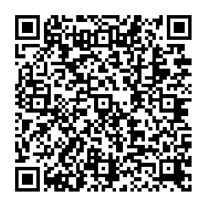 真主保佑……这是把所有is军武装分子都集中到这里来了么……刚才阿卜迪大叔说他们在阵地上也被惊呆二维码生成