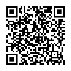 真是让这个宦海厮混多年的老江湖感觉到不适应二维码生成